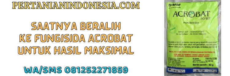 jual,murah,terjangkau,toko pertanian terdekat,pertanian indonesia